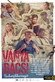 Ványa bácsi – Buborékkeringő
