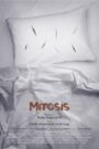 Mitosis